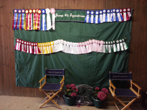 fields and fences nijha show ribbons